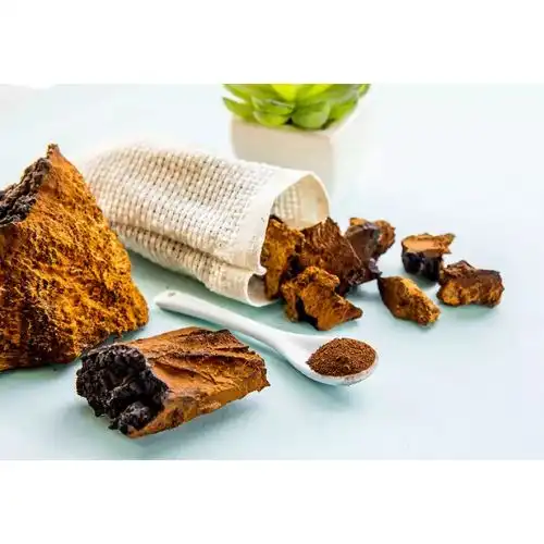 Top Chaga Extract Benefits Backed by Research